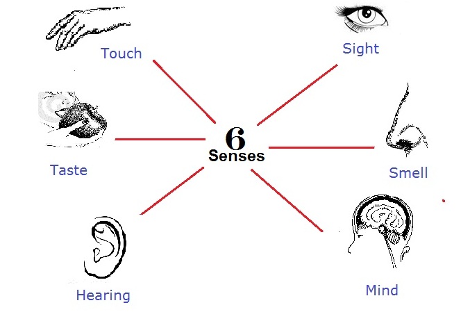 six senses